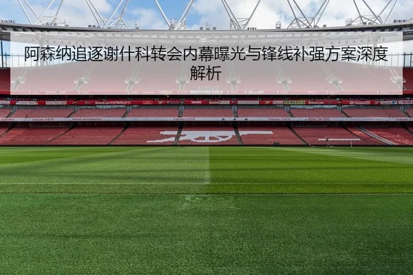 阿森纳追逐谢什科转会内幕曝光与锋线补强方案深度解析